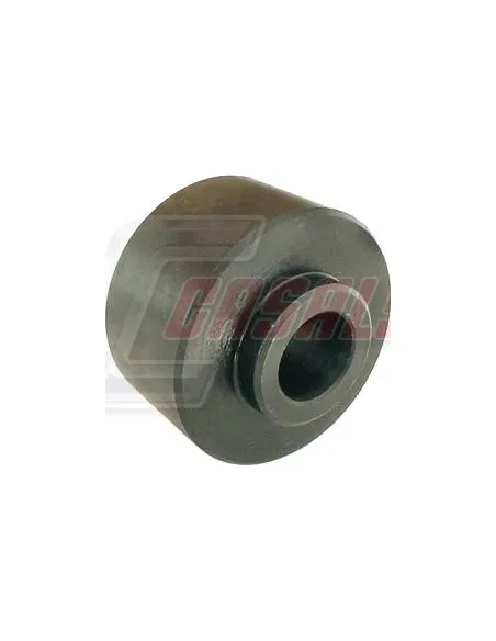 CASALS8303