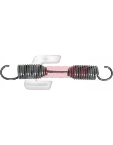 CASALS8403
