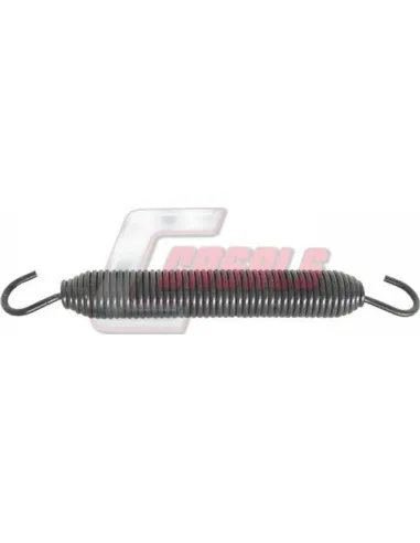 CASALS8404