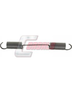 CASALS8405