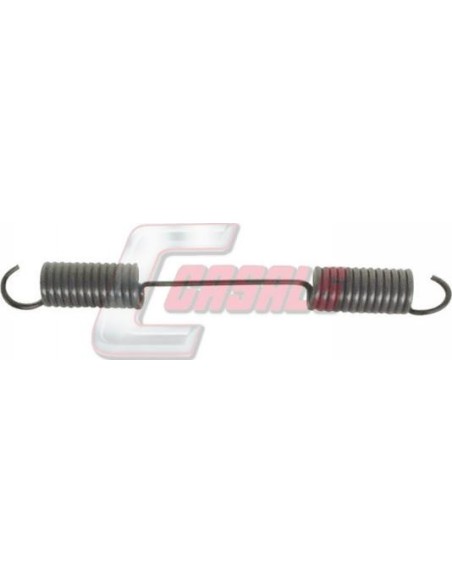 CASALS8405