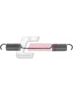 CASALS8406