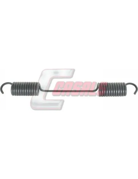 CASALS8406
