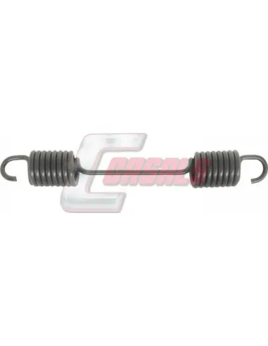 CASALS8407