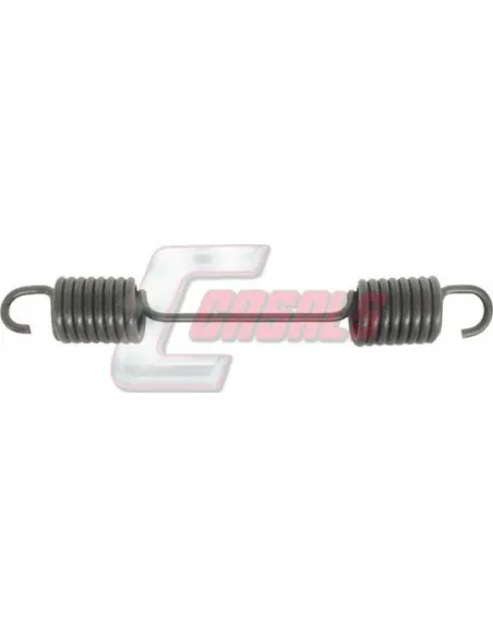 CASALS8407