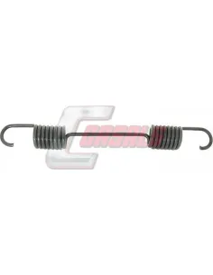 CASALS8409
