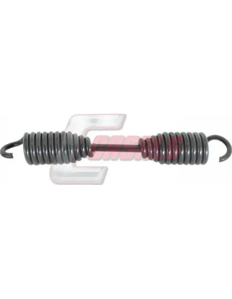 CASALS8425