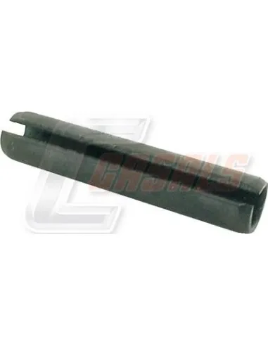 CASALS8519