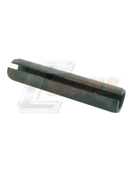 CASALS8519
