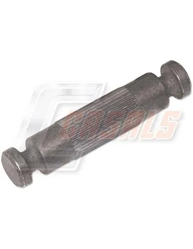 CASALS8539