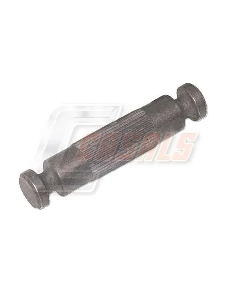 CASALS8539