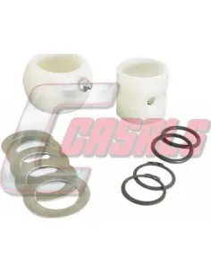CASALS8811