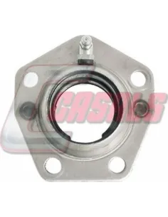 CASALS8813
