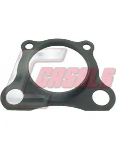 CASALS8820