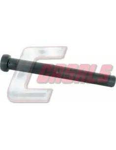 CASALS8824