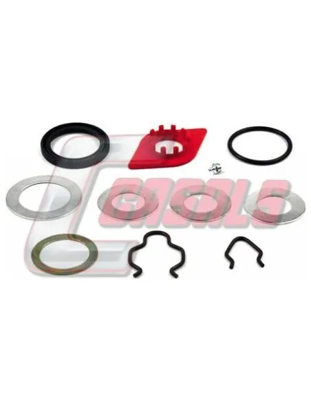 KIT REPARACION LEVAS SAF