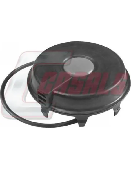 Buje de rueda SAF Tapacubo DE Plastico Ø131 X 37, 5 Tapacubo EJE SK SIN ABS Ø163, 5 X 66