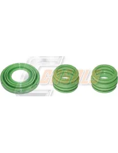 CASALSMD1101