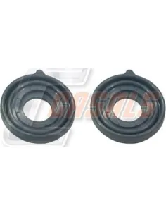 CASALSMD404