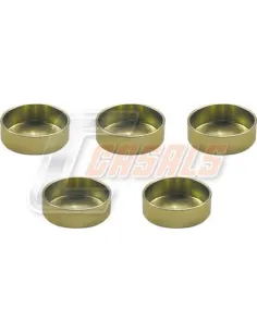 CASALSMD491