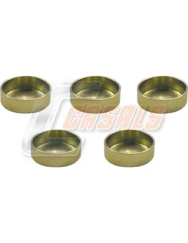 CASALSMD491