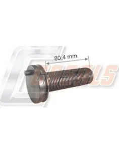 CASALSMD504