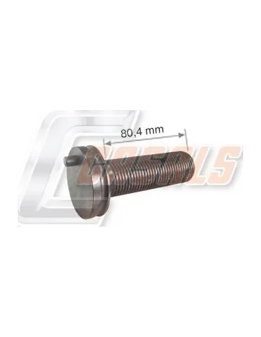CASALSMD504