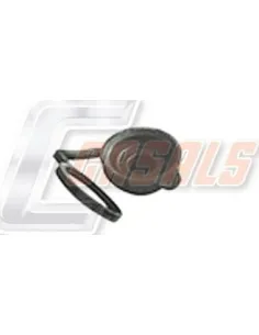 CASALSMD537