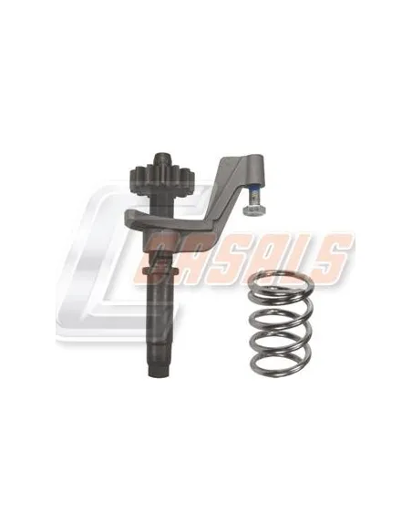 KIT REP.ENGRANAJE AJUST.DCHO