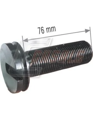 CASALSMD677