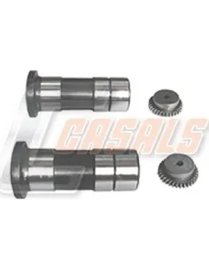 CASALSMD880