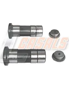 CASALSMD881