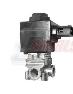 CASALSN500