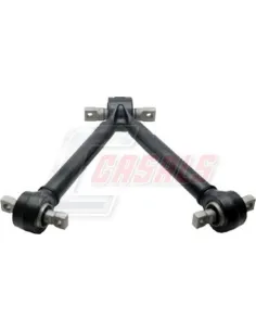 CASALSR10031