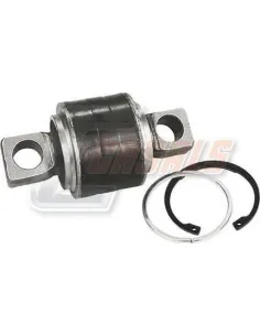 CASALSR10217
