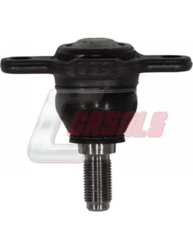 CASALSR1038