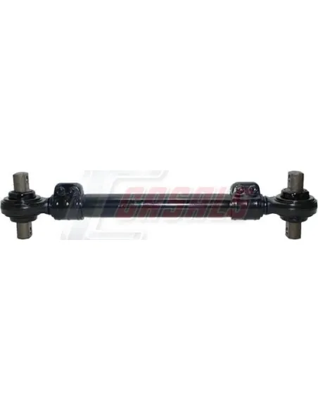 CASALSR10732