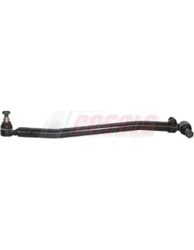 CASALSR10787