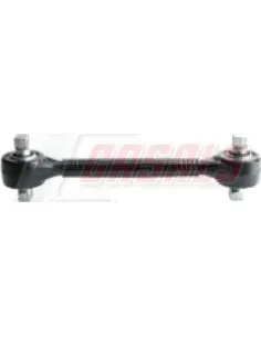 CASALSR11475