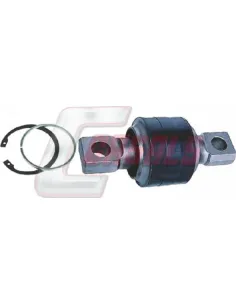 CASALSR3571