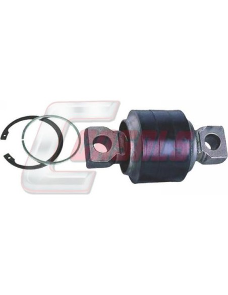 CASALSR3581