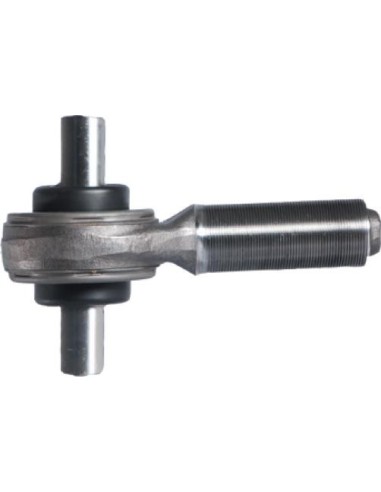 CASALSR4709