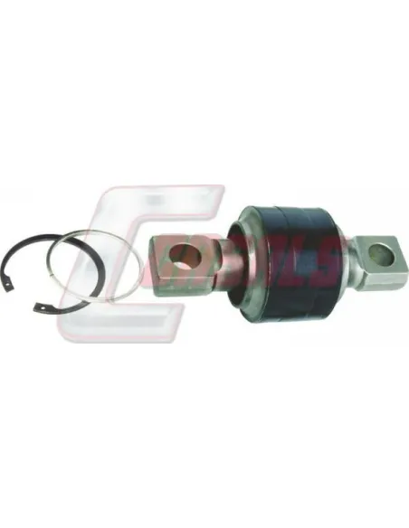 CASALSR5302