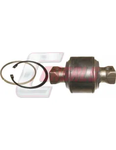 CASALSR5401