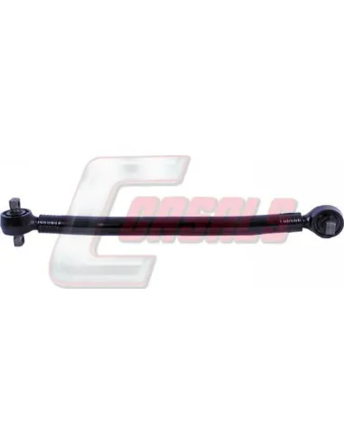 CASALSR6300