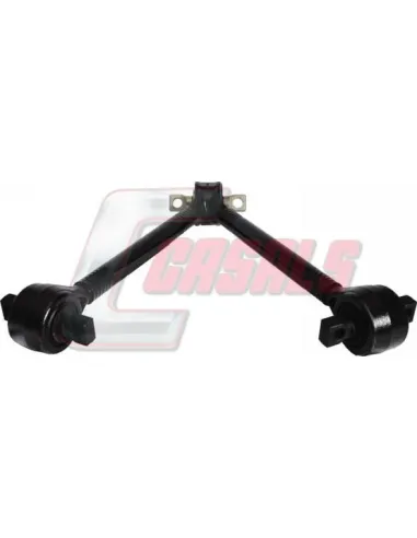 CASALSR8065