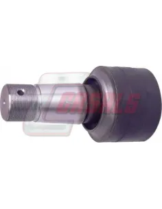 CASALSR8129