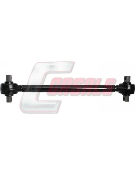CASALSR8169