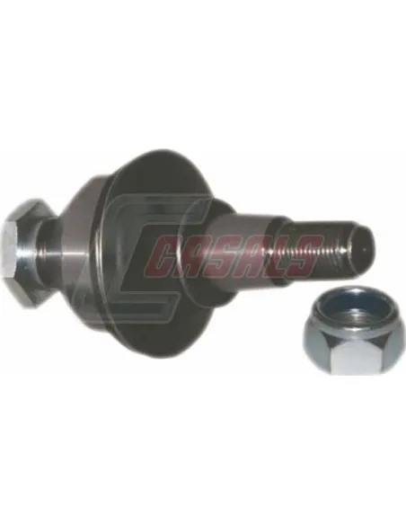 CASALSR8574