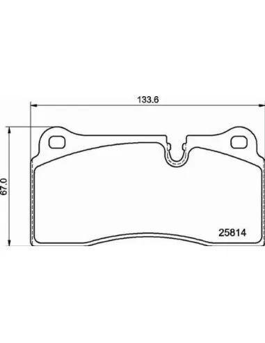 P06111